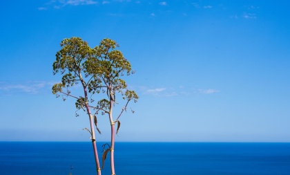 Minimal photography - 12 2025