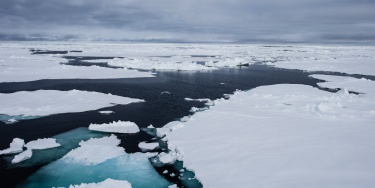 Mar glaciale artico
