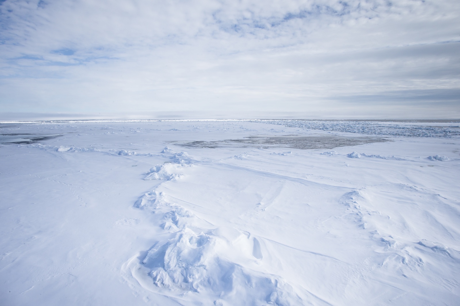 Mar glaciale artico